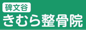 碑文谷きむら整骨院